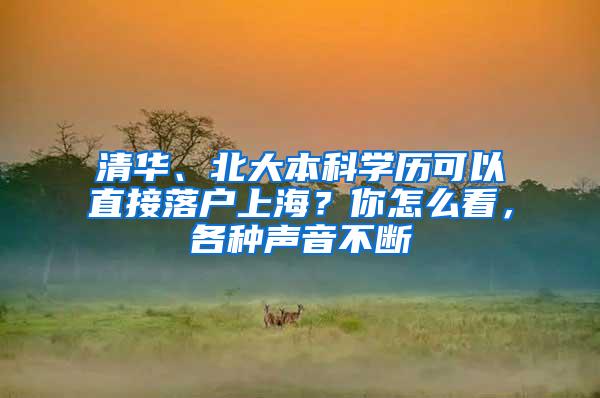 清华、北大本科学历可以直接落户上海？你怎么看，各种声音不断