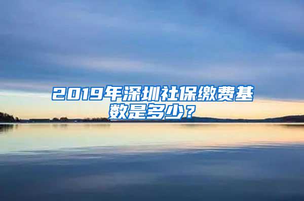 2019年深圳社保缴费基数是多少？