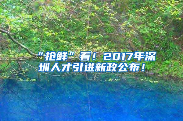 “抢鲜”看！2017年深圳人才引进新政公布！