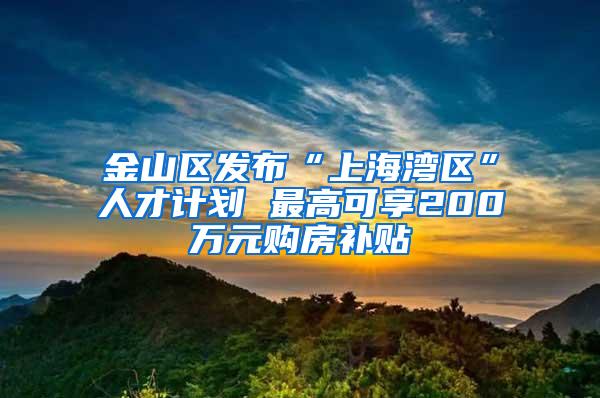 金山区发布“上海湾区”人才计划 最高可享200万元购房补贴