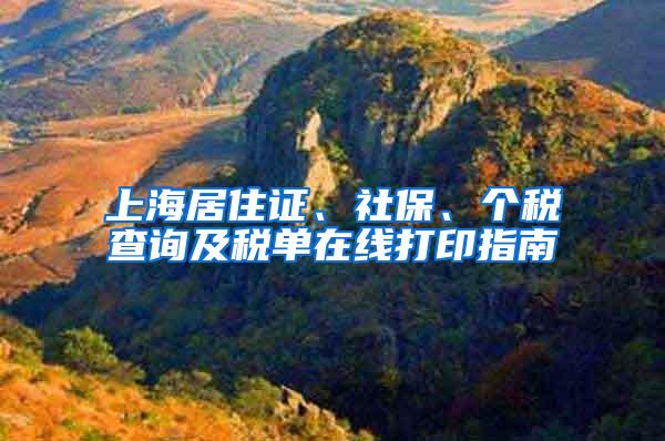 上海居住证、社保、个税查询及税单在线打印指南