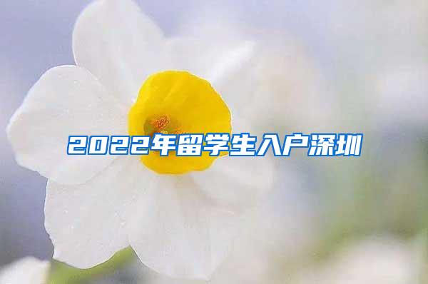 2022年留学生入户深圳