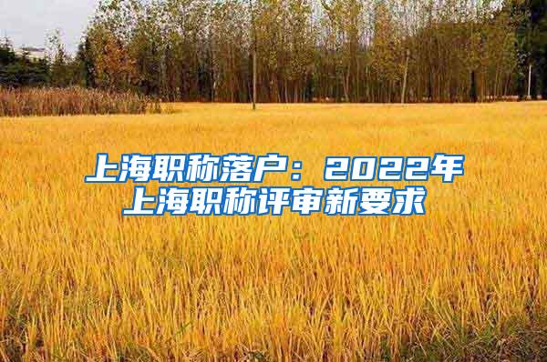 上海职称落户：2022年上海职称评审新要求