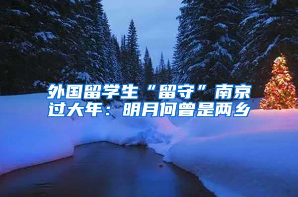 外国留学生“留守”南京过大年：明月何曾是两乡