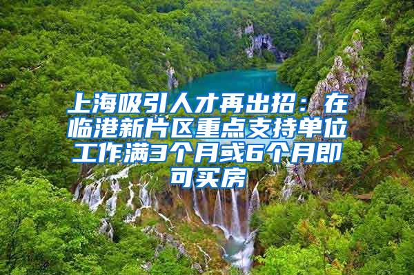 上海吸引人才再出招：在临港新片区重点支持单位工作满3个月或6个月即可买房