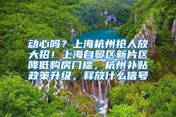 动心吗？上海杭州抢人放大招！上海自贸区新片区降低购房门槛，杭州补贴政策升级，释放什么信号