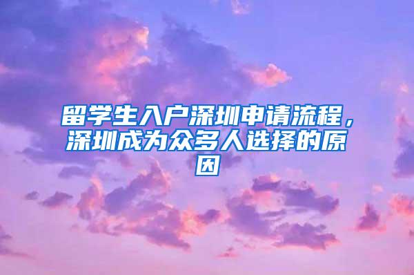 留学生入户深圳申请流程，深圳成为众多人选择的原因