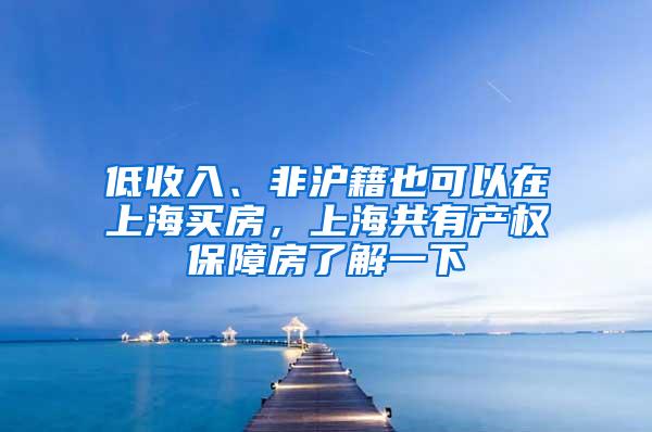 低收入、非沪籍也可以在上海买房，上海共有产权保障房了解一下