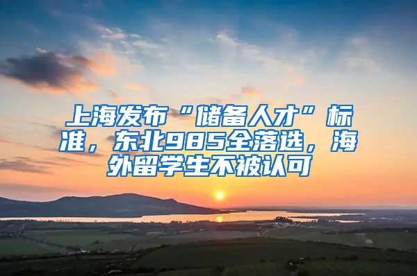 上海发布“储备人才”标准，东北985全落选，海外留学生不被认可