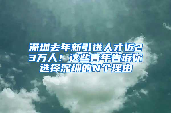 深圳去年新引进人才近23万人！这些青年告诉你选择深圳的N个理由