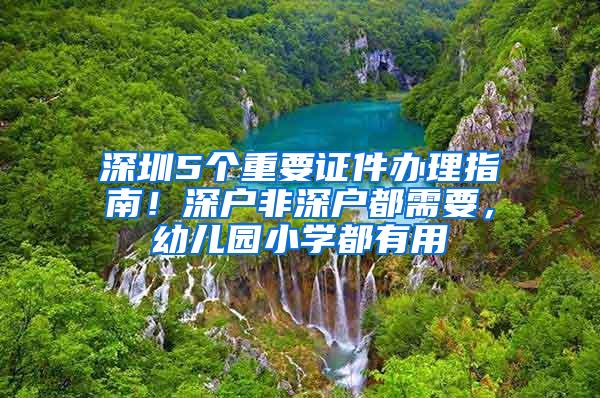 深圳5个重要证件办理指南！深户非深户都需要，幼儿园小学都有用