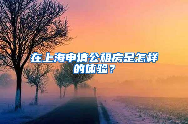 在上海申请公租房是怎样的体验？