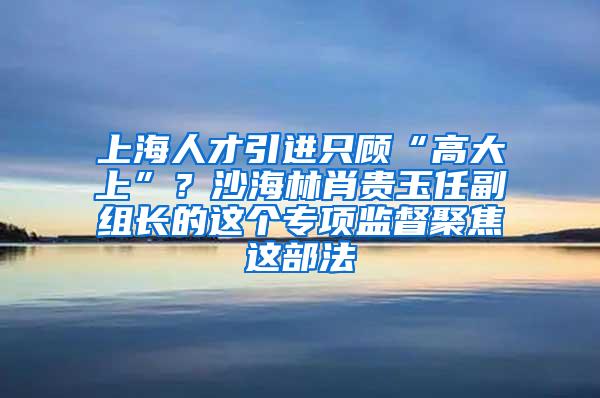 上海人才引进只顾“高大上”？沙海林肖贵玉任副组长的这个专项监督聚焦这部法