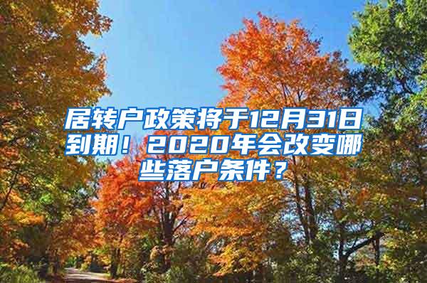 居转户政策将于12月31日到期！2020年会改变哪些落户条件？