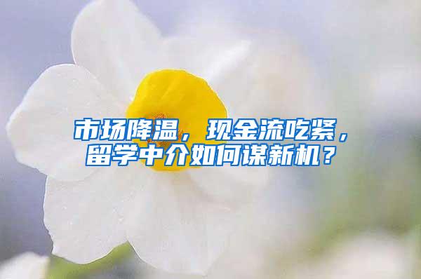 市场降温，现金流吃紧，留学中介如何谋新机？