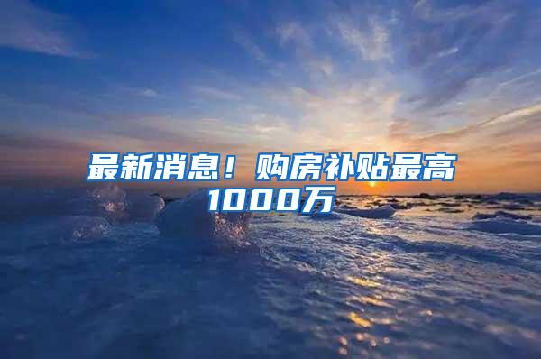 最新消息！购房补贴最高1000万