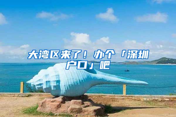 大湾区来了！办个「深圳户口」吧