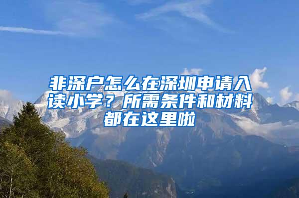 非深户怎么在深圳申请入读小学？所需条件和材料都在这里啦