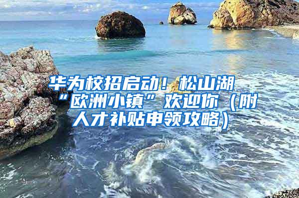 华为校招启动！松山湖“欧洲小镇”欢迎你（附人才补贴申领攻略）