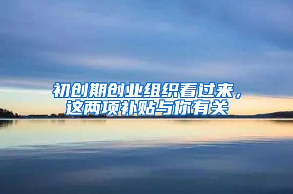 初创期创业组织看过来，这两项补贴与你有关