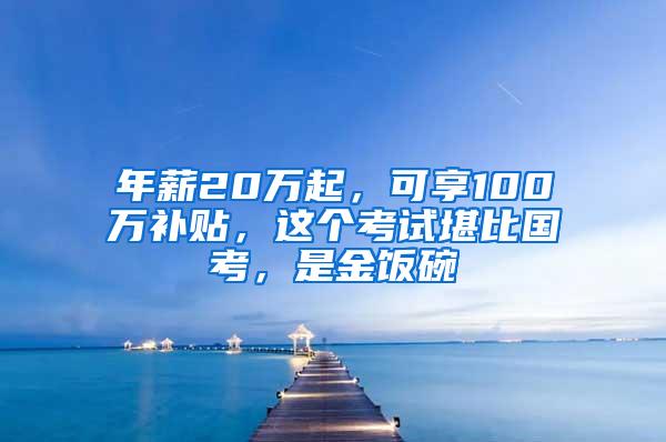 年薪20万起，可享100万补贴，这个考试堪比国考，是金饭碗