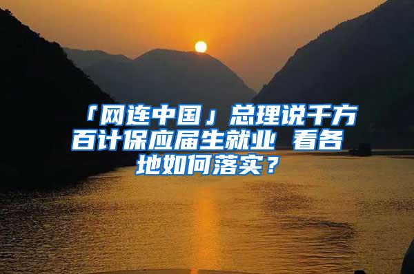 「网连中国」总理说千方百计保应届生就业 看各地如何落实？