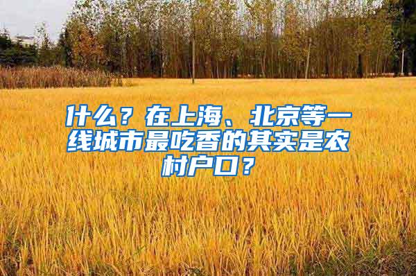 什么？在上海、北京等一线城市最吃香的其实是农村户口？