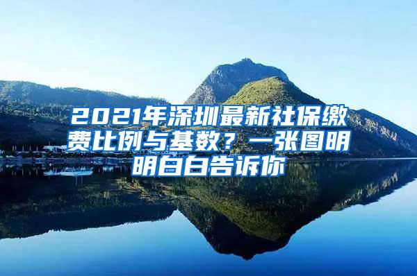 2021年深圳最新社保缴费比例与基数？一张图明明白白告诉你