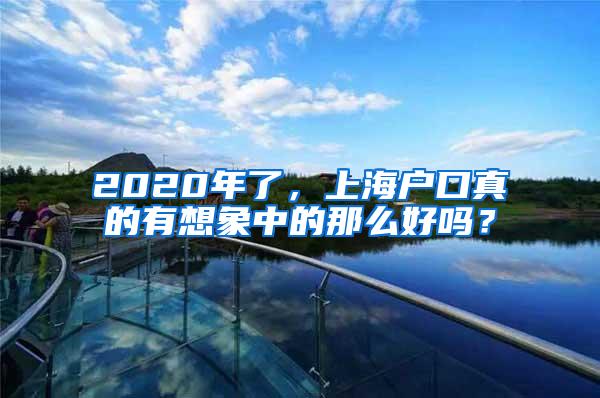 2020年了，上海户口真的有想象中的那么好吗？