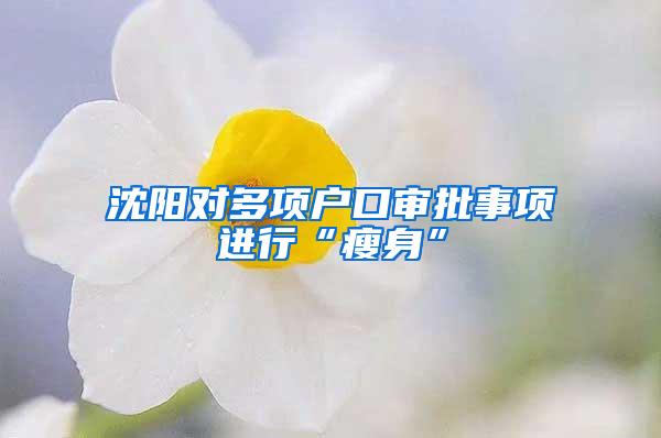 沈阳对多项户口审批事项进行“瘦身”