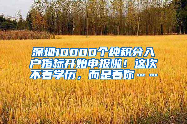 深圳10000个纯积分入户指标开始申报啦！这次不看学历，而是看你……