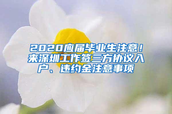 2020应届毕业生注意！来深圳工作签三方协议入户、违约金注意事项