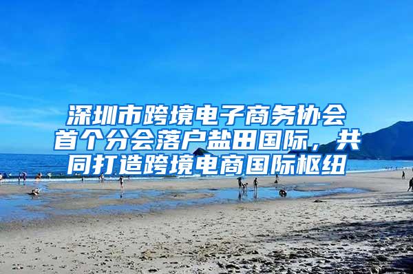 深圳市跨境电子商务协会首个分会落户盐田国际，共同打造跨境电商国际枢纽