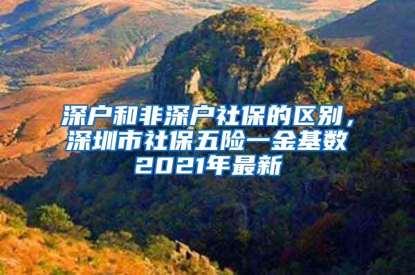 深户和非深户社保的区别，深圳市社保五险一金基数2021年最新