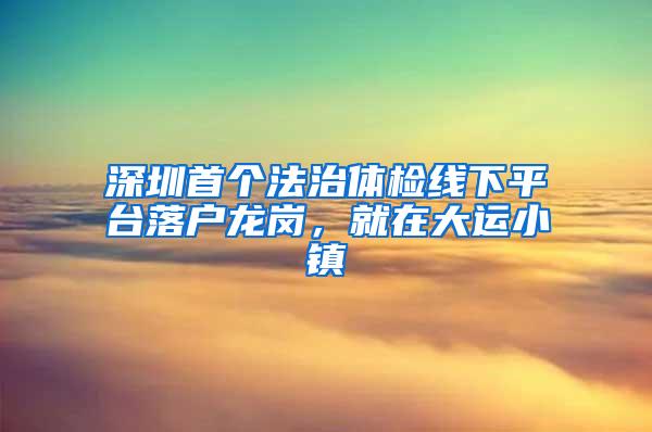 深圳首个法治体检线下平台落户龙岗，就在大运小镇