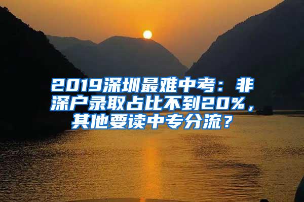 2019深圳最难中考：非深户录取占比不到20%，其他要读中专分流？