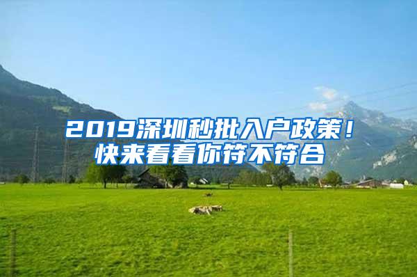 2019深圳秒批入户政策！快来看看你符不符合