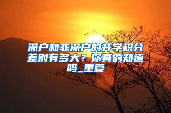 深户和非深户的升学积分差别有多大？你真的知道吗_重复