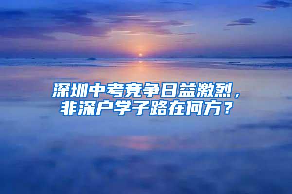 深圳中考竞争日益激烈，非深户学子路在何方？