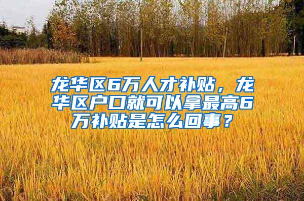 龙华区6万人才补贴，龙华区户口就可以拿最高6万补贴是怎么回事？