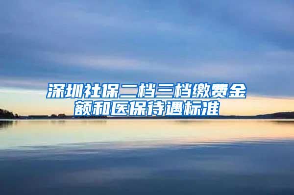 深圳社保二档三档缴费金额和医保待遇标准