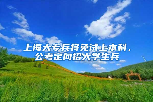 上海大专兵将免试上本科，公考定向招大学生兵