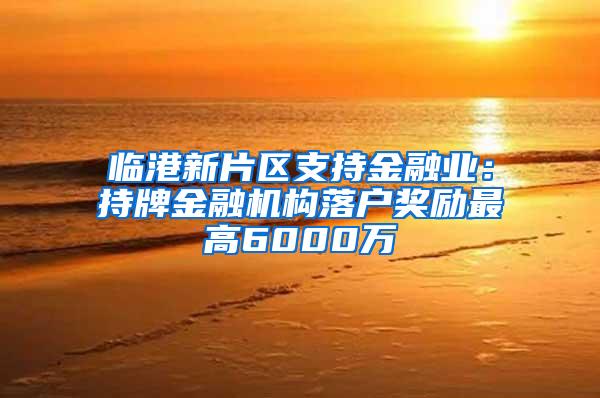 临港新片区支持金融业：持牌金融机构落户奖励最高6000万