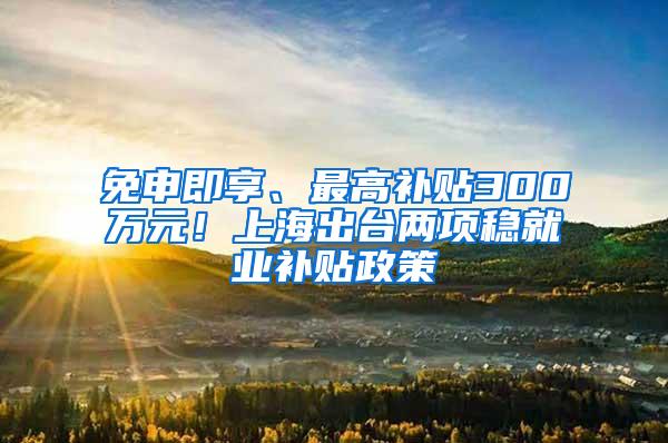 免申即享、最高补贴300万元！上海出台两项稳就业补贴政策