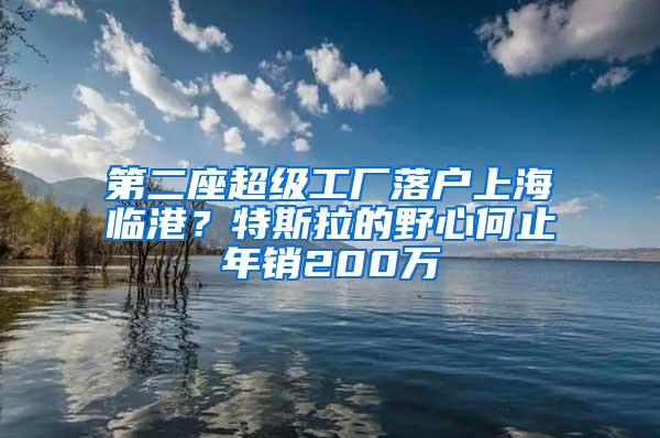 第二座超级工厂落户上海临港？特斯拉的野心何止年销200万