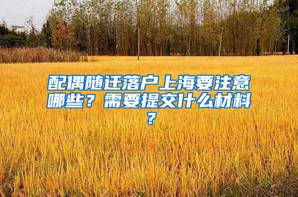 配偶随迁落户上海要注意哪些？需要提交什么材料？