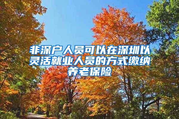 非深户人员可以在深圳以灵活就业人员的方式缴纳养老保险