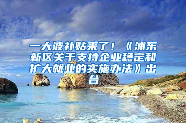 一大波补贴来了！《浦东新区关于支持企业稳定和扩大就业的实施办法》出台