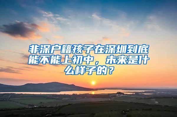 非深户籍孩子在深圳到底能不能上初中，未来是什么样子的？