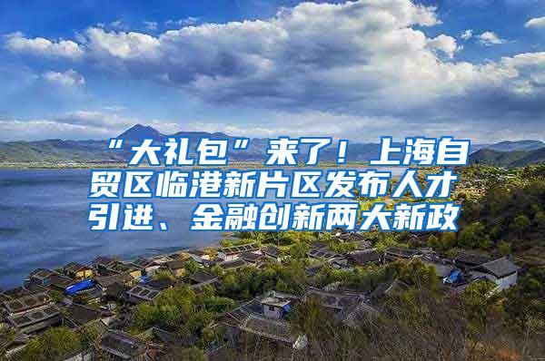 “大礼包”来了！上海自贸区临港新片区发布人才引进、金融创新两大新政